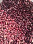 RED OR PURPLE SPECKLED BEANS