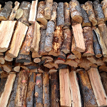 Pine Firewood