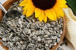 We Supply Sunflower Seeds Globally