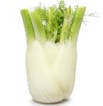 Italy Fennel