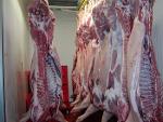 Quality Whole Frozen Pork Meat and Frozen Pork Meat and Part