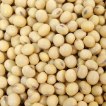 Soybeans Meal