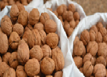 walnut export