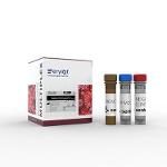 Senteligo Coronavirus Multiplex Test Kit