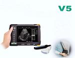 veterinary ultrasound scanner for pig/sheep/cattle/horse