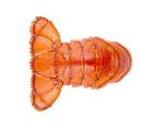 Cooked lobster tail