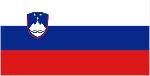 Translation services in Slovenia