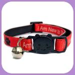 I Am New To The Area' Cat Collar - Red