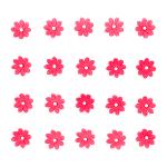 Daisy Premium Mono Pink 20 Pieces (50 Unitary Enterprise / Box)