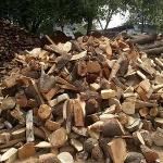 Kiln Dried firewood