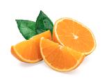 Fresh Shamauit orange
