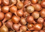 Onion (Medium Size)
