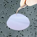 ipPORE™ Track-Etched Membrane Filters