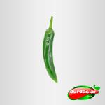 Green Chili Pepper 
