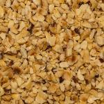Hazelnut granella 2-4 mm toasted org
