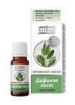 Essential Oil Of Bay Leaf - Laurus Nobilis - 10 ml