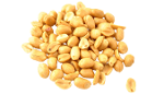 Peanut kernel blanched