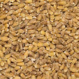Barley pearled org