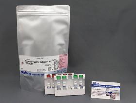 Bacstain- Bacterial Viabiliy Detection Kit-CFDA/PI