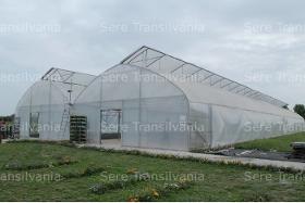 Multi-bay greenhouse