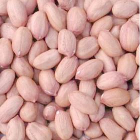 Peanuts	blanched with skin  in shell