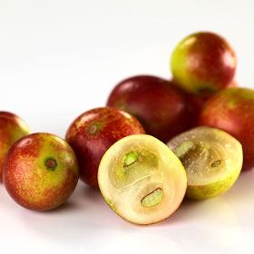 CamuCamu Extract