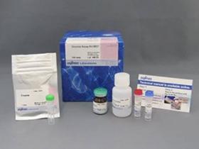 Glucose Assay Kit-WST