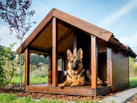 Street Furniture For Pets