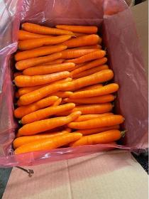 Turkish Carrot