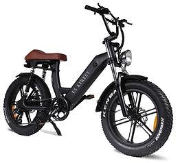 Fatbike E5 KIREST electric bike