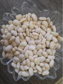 White kidney beans quality grade 2