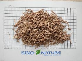 Senega root