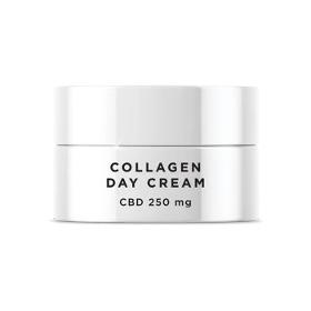 CBD Mikka Collagen Day Cream – 250MG CBD