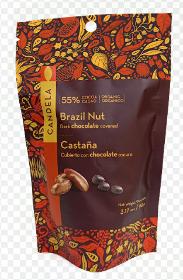 Brazil Nut Dark chocolate covered