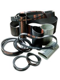 Trasmission Belts