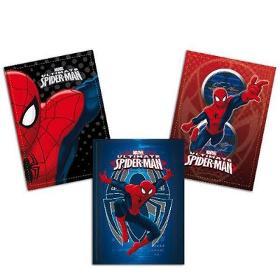 Spiderman Power Notebooks Rigo B