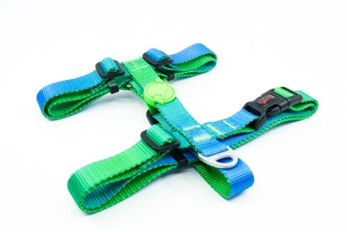 H-Type Harness