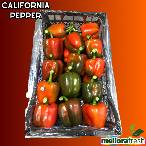 California Pepper