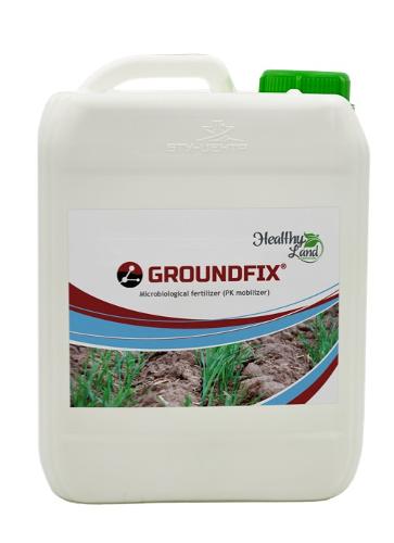 Bacterial composition "Groundfix"